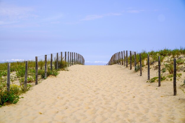 Ruta de acceso en la playa de dunas de arena en la costa suroeste de Francia