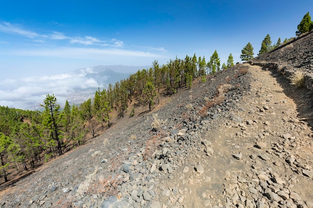 Ruta de los Volcanes Wanderweg La Palma Spanien