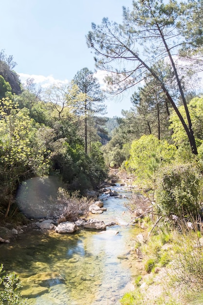 Ruta del río Borosa en el parque natural de la Sierra de Cazorla Segura y Las Villas