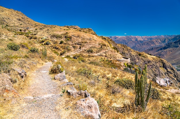 Foto ruta de senderismo en el cañón del colca en perú