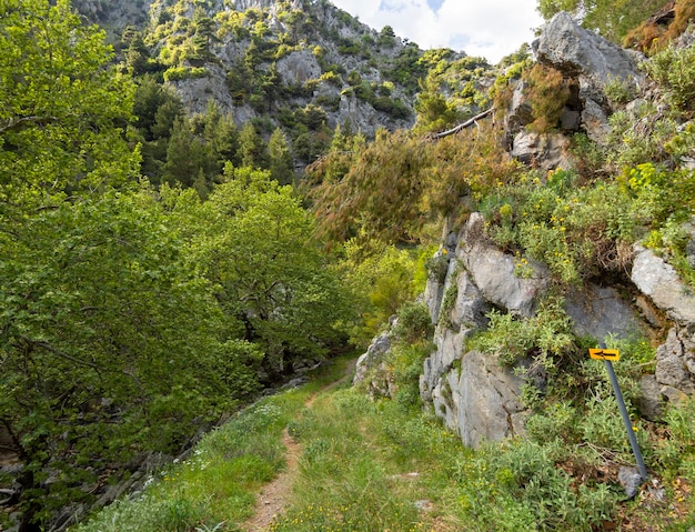 Ruta de senderismo en la garganta de la montaña de Agali en la isla de Evia en Grecia