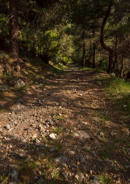 Ruta de senderismo en la garganta de la montaña de Agali en la isla de Evia en Grecia