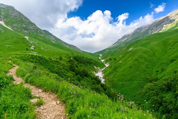 Ruta de senderismo de montaña Hermoso paisaje con montañas prados de hierba verde y ruta de senderismo en primavera