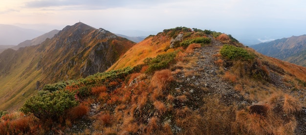Ruta de senderismo en la montaña. Mañana nublada del paisaje de otoño. Cárpatos, Ucrania, Europa