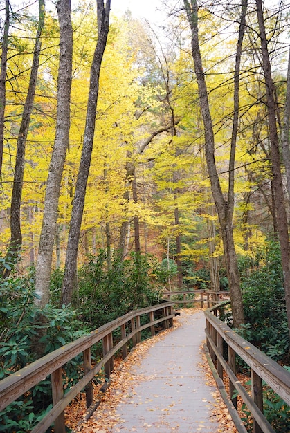 Ruta de senderismo de otoño