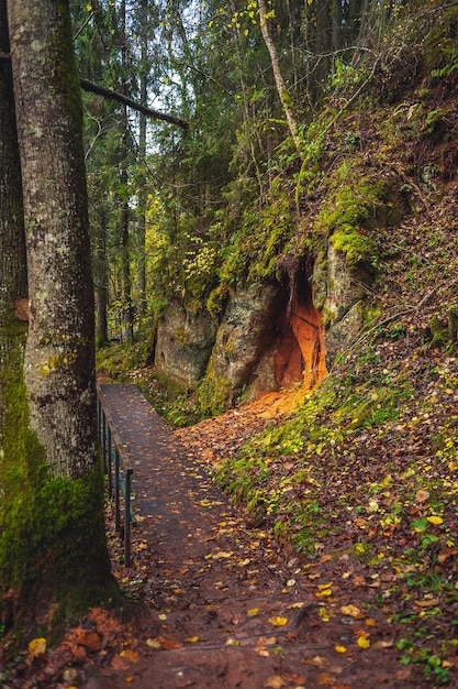 Foto ruta de senderismo en el parque nacional de gauja con acantilado rojo paisaje de otoño letonia