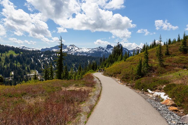 Ruta de senderismo en el Parque Nacional Paradise Mt Rainier Washington EE.UU.