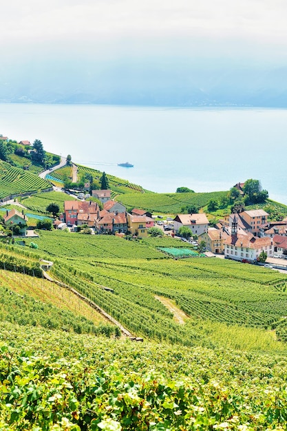 Foto ruta de senderismo en terrazas de viñedos de lavaux, lago de ginebra y montañas suizas, distrito de lavaux-oron, suiza