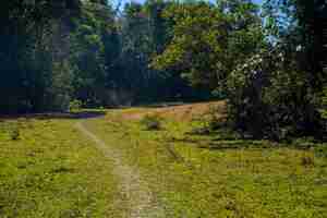 Foto ruta de ta nang phan dung con hito entre 3 provincias a través de colinas de hierba y bosques en la reserva natural song mao