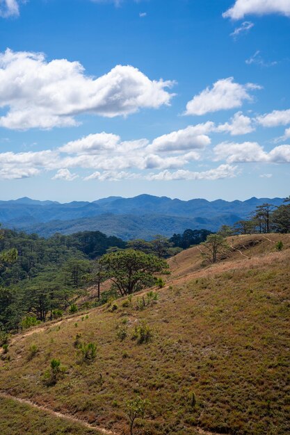 Foto ruta de ta nang phan dung con hito entre 3 provincias a través de colinas de hierba y bosques en la reserva natural song mao