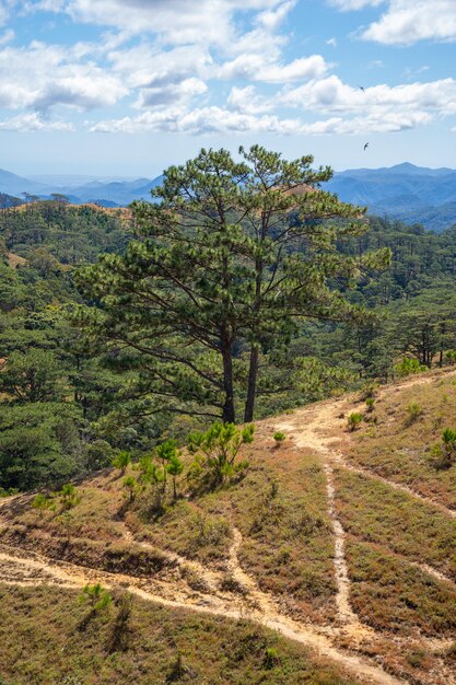 Ruta de Ta Nang Phan Dung con hito entre 3 provincias a través de colinas de hierba y bosques en la Reserva Natural Song Mao
