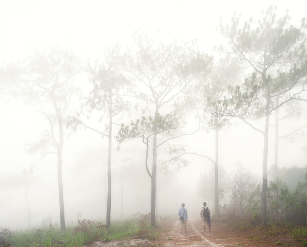 Ruta de viaje en el bosque de Tailandia