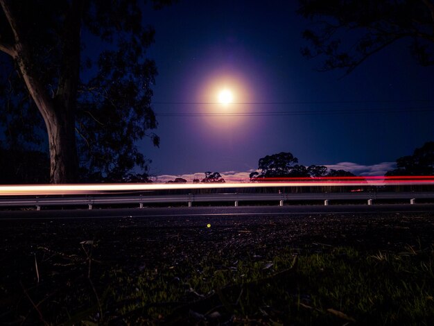 Foto rutas de luz en el árbol por la noche