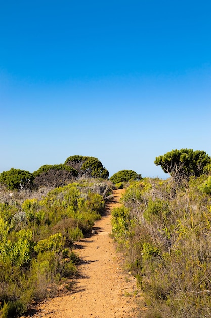 Rutas de senderismo Dirt Track en la cima de una montaña en la costa de Ciudad del Cabo