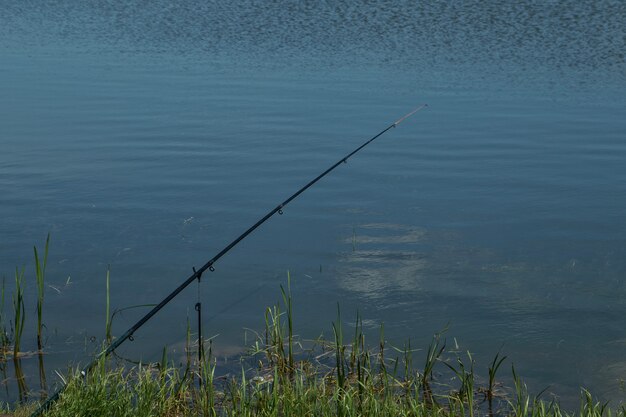 Ruten an einem Rutenpod mit den angebrachten Swingern, die bereit sind, einige Fische zu fangen.