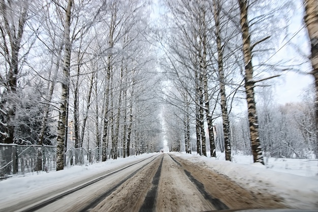 Árvore ao longo da estrada no inverno