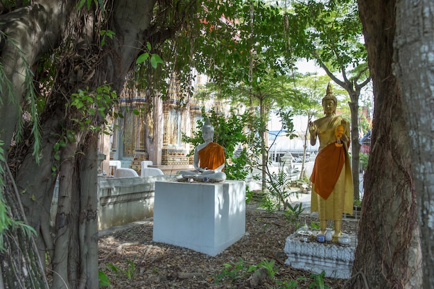 Árvore Bodhi em frente A estátua de buda em Wat Bang Krai Nai em Nonthaburi