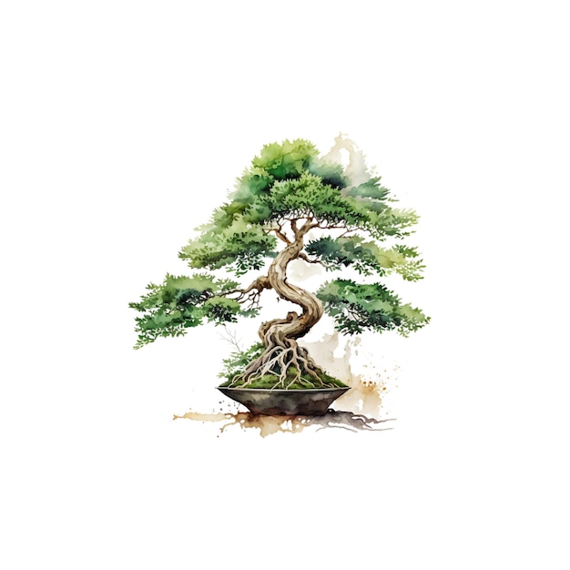 Árvore Bonsai 10