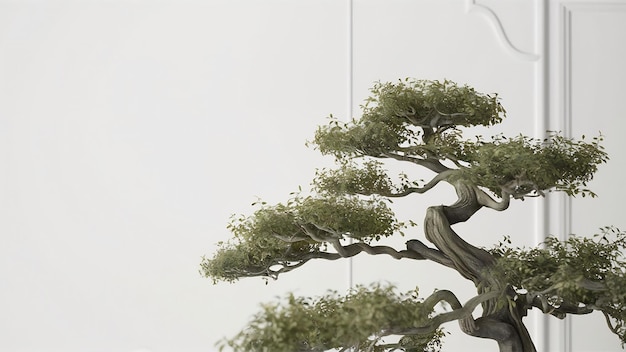 Árvore de bonsai em fundo isolado para decorar