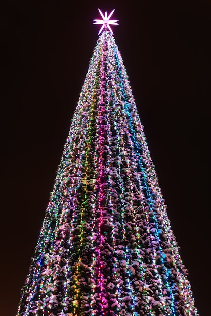 Árvore de Natal coberta de neve com luzes multicoloridas à noite em fundo preto.