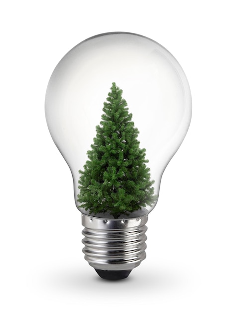 Árvore de Natal decorada dentro da lâmpada no conceito de inspiração de fundo branco