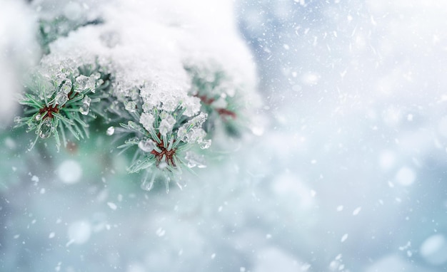 Árvore de Natal e fundo de férias de ano novo