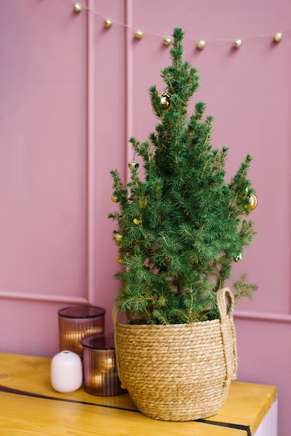 Árvore de Natal em uma cesta de vime na cozinha com paredes rosa