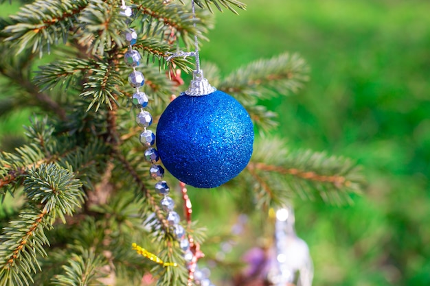 Árvore de Natal verde com bola azul de brinquedo de Natal. Comemorando o ano novo e o natal.