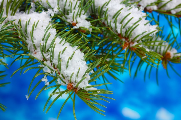 Árvore de natal verde em azul