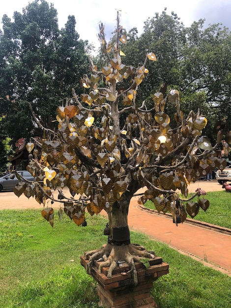 Árvore de ouro com folhas douradas