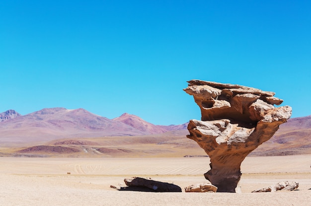 Árvore de pedra famosa perto da planície de sal de Uyuni, Bolívia