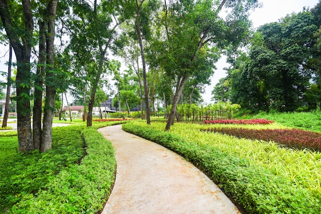 Árvore do parque pela manhã com caminho de trilha com planta verde e árvore de madeira de flores, lindo parque da cidade, jardim, ambiente natural