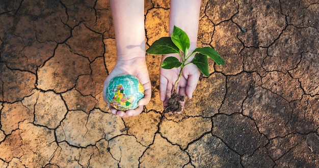 Árvore e globo do conceito do Dia da Terra ou do Dia Mundial do Meio Ambiente Salvando o meio ambiente e o aquecimento global
