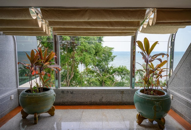 Árvore interior em vasos de barro com cortinas douradas com mar tropical