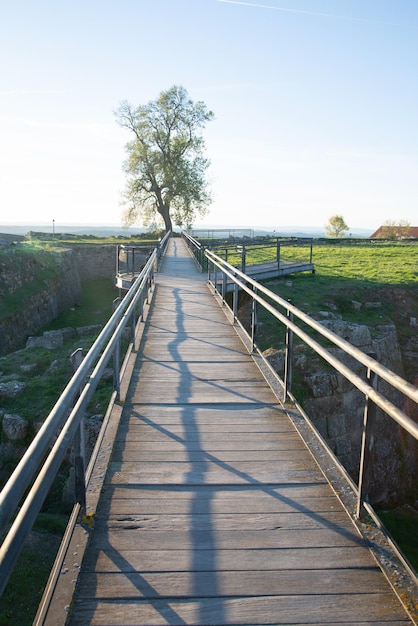 Árvore no final da trilha em Almeida, Portugal