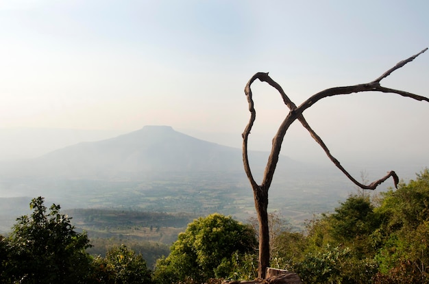 Árvore seca morta fica no topo com vista paisagem da montanha Phu Pa Po ou Fuji City Loei na hora do pôr do sol em Phu Luang Wildlife Sanctuary em Loei Tailândia