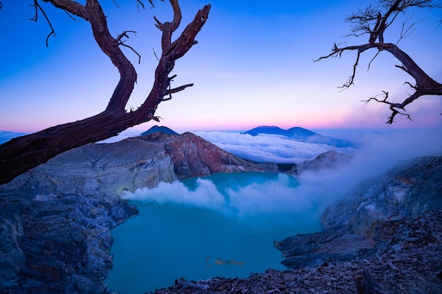 Árvore sem folhas de madeira morta com água turquesa LagoBoa natureza Paisagem montanha e lago verde no vulcão Kawah Ijen Java Oriental Indonésia