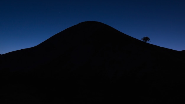 Árvore solitária na montanha à noite