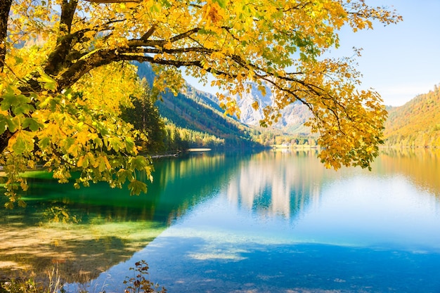 Árvores amarelas de outono na margem do lago nas montanhas dos Alpes, na Áustria