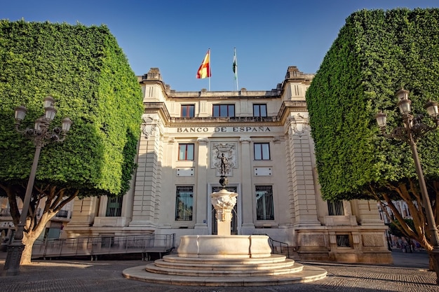 Árvores aparadas em forma de cubo no centro histórico de Sevilha, próximo ao Banco da Espanha Andaluzia Espanha