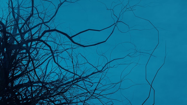 Árvores assustadoras à noite perto da estrada florestal Paisagem florestal misteriosa mística em renderização 3d de luar de neblina