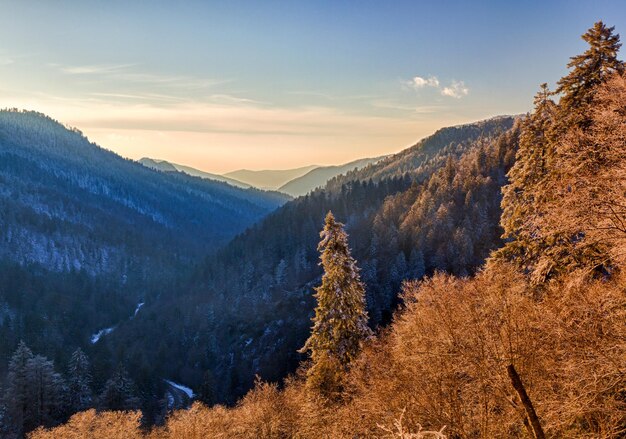 Árvores cobertas de neve ao pôr do sol em Smoky Mountains