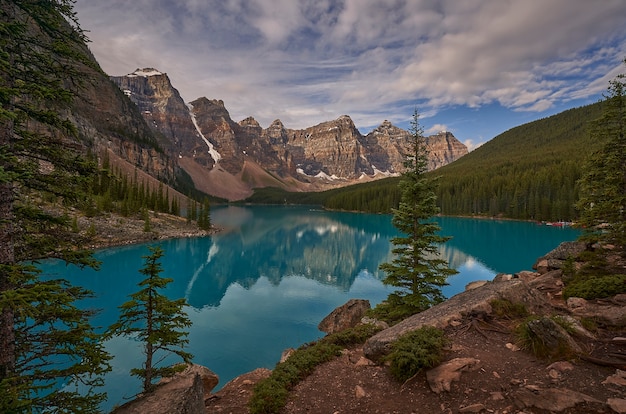 Árvores com reflexo no Lago Moraine no Canadá