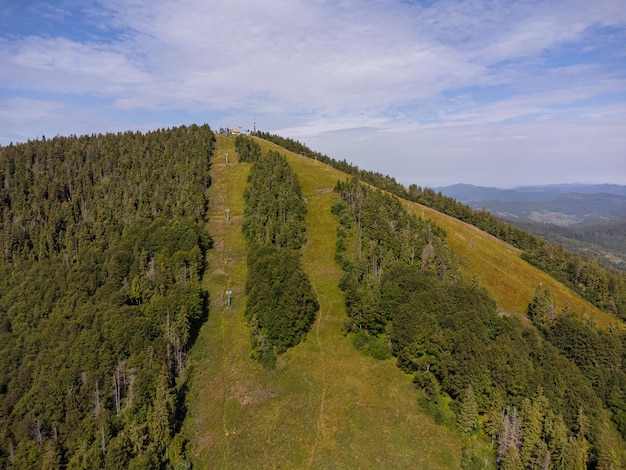 Árvores coníferas na encosta da montanha. Vista aérea do drone.