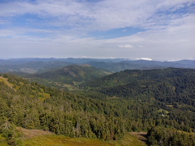 Árvores coníferas na encosta da montanha. Vista aérea do drone.