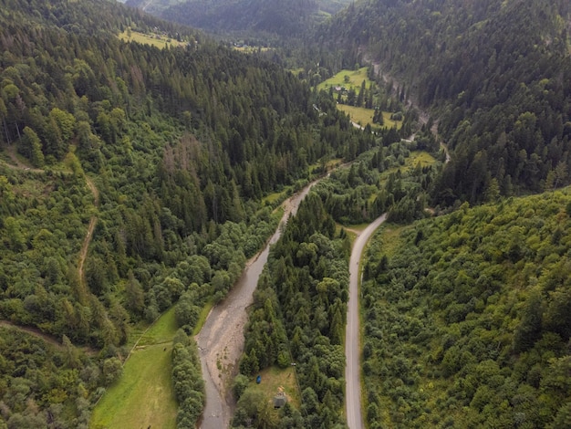 Árvores coníferas na encosta da montanha. Vista aérea do drone.