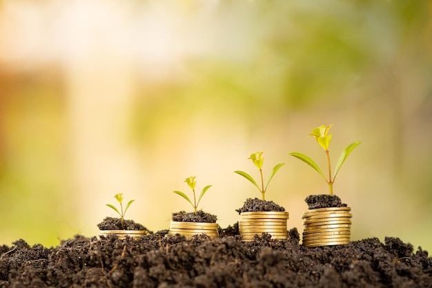 Árvores crescem em moedas no chão, dinheiro cresce ideias de finanças e investimentos