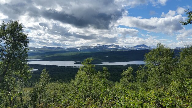 Árvores crescendo na montanha contra o céu nublado