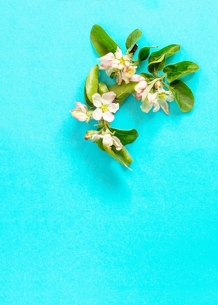 Árvores de árvore de appletree de flores de primavera em um fundo azul Conceito mínimo de Páscoa