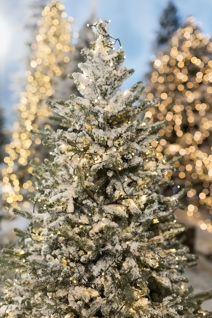 Árvores de Natal com luzes e neve